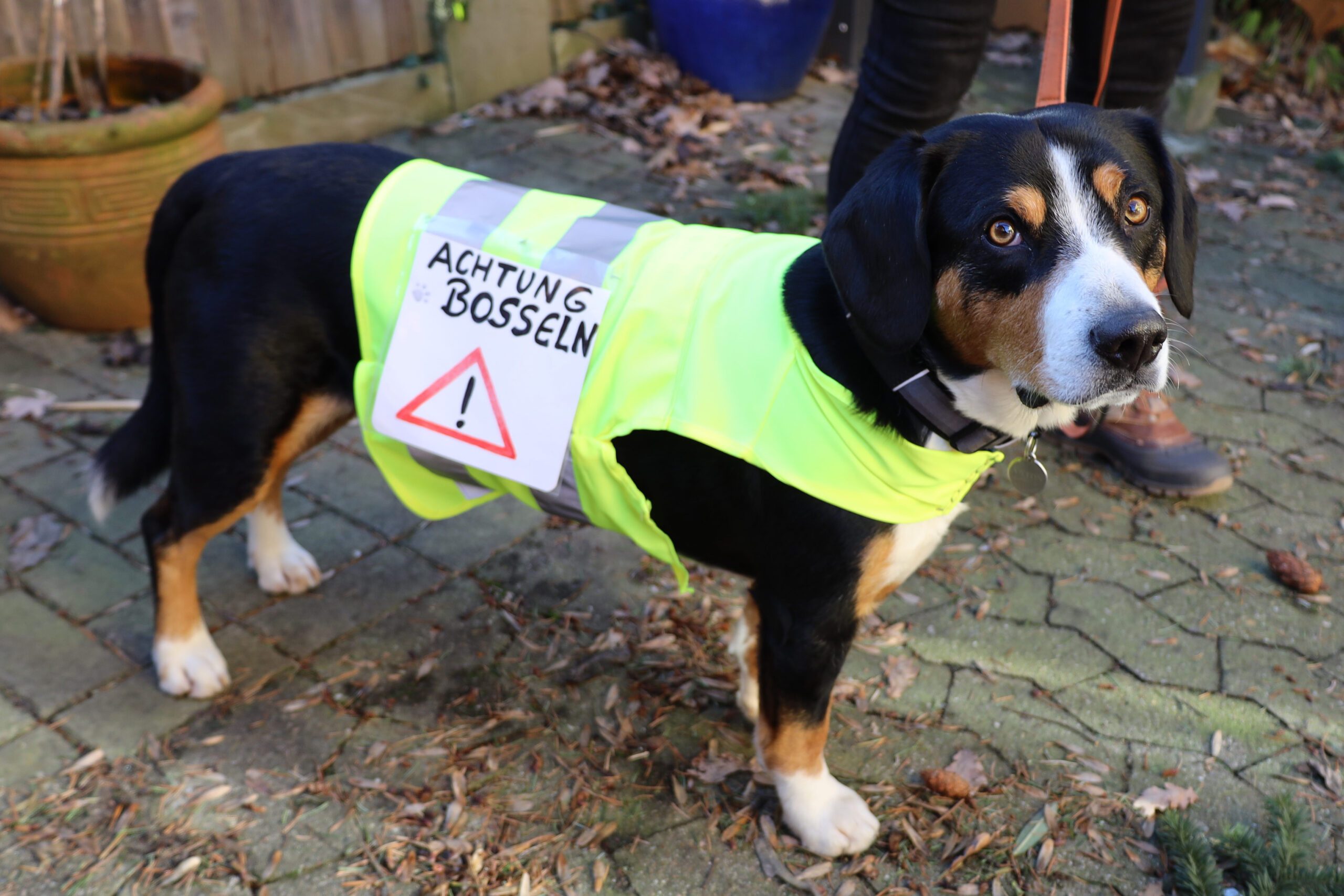 20240129_0267a_www-ritterimages-com