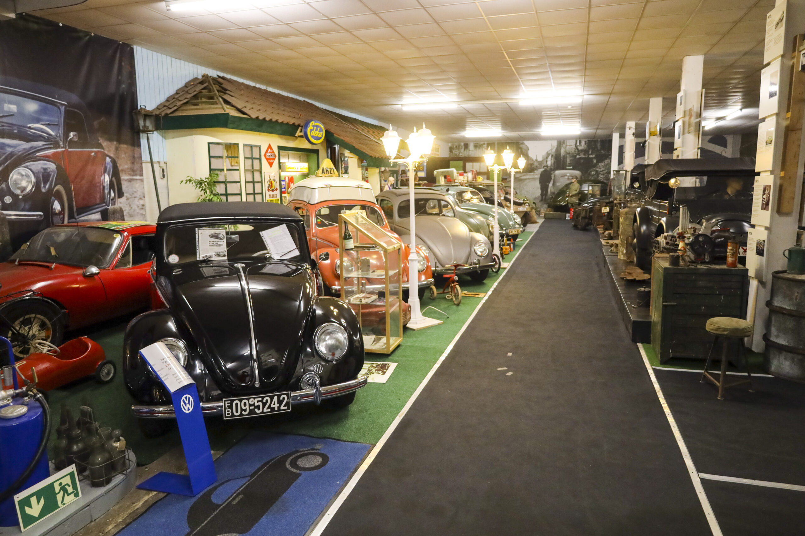 20240622_0134_www-ritterimages-com