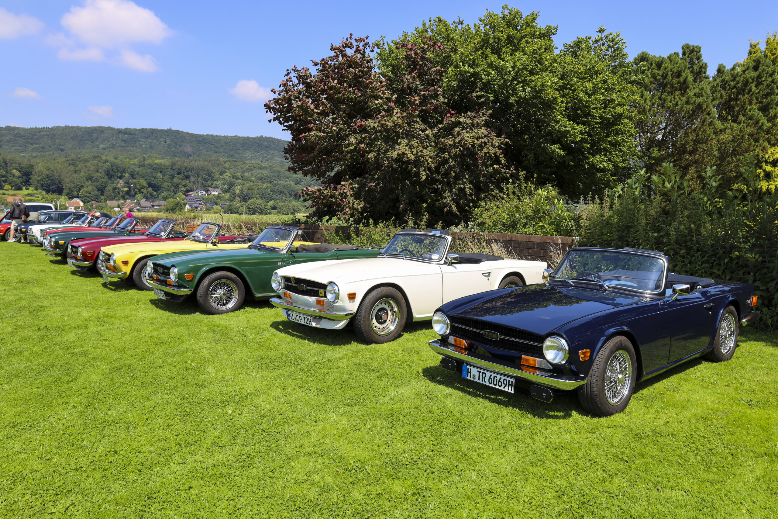 20240622_0171_www-ritterimages-com