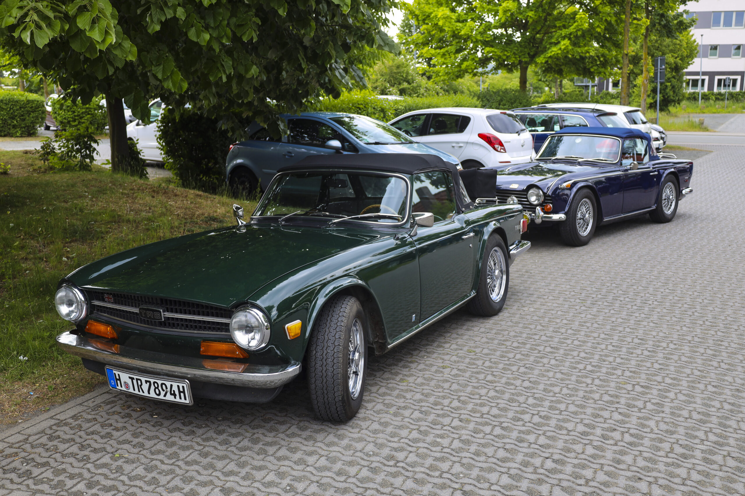 20250524_0447_www-ritterimages-com