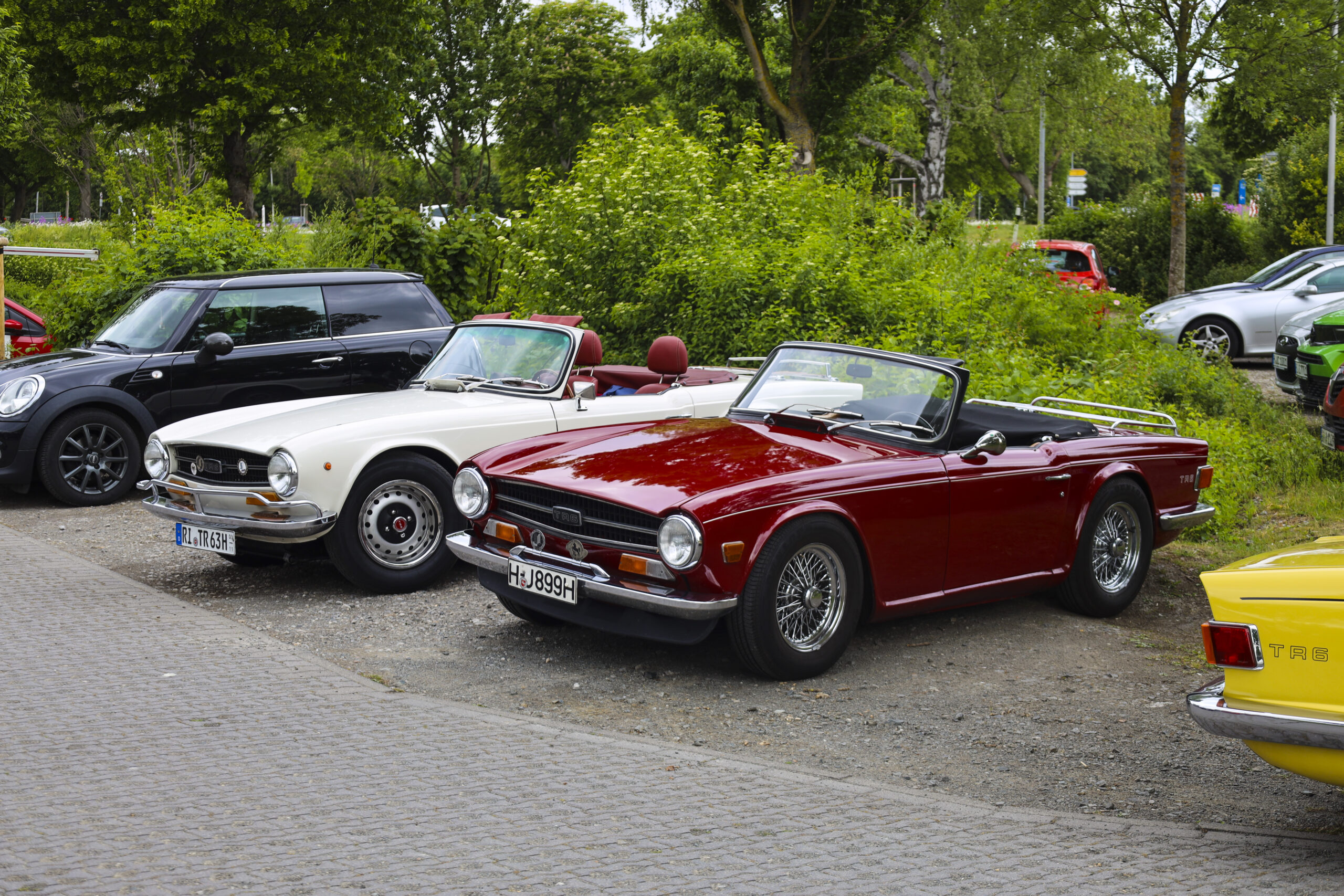 20250524_0451_www-ritterimages-com