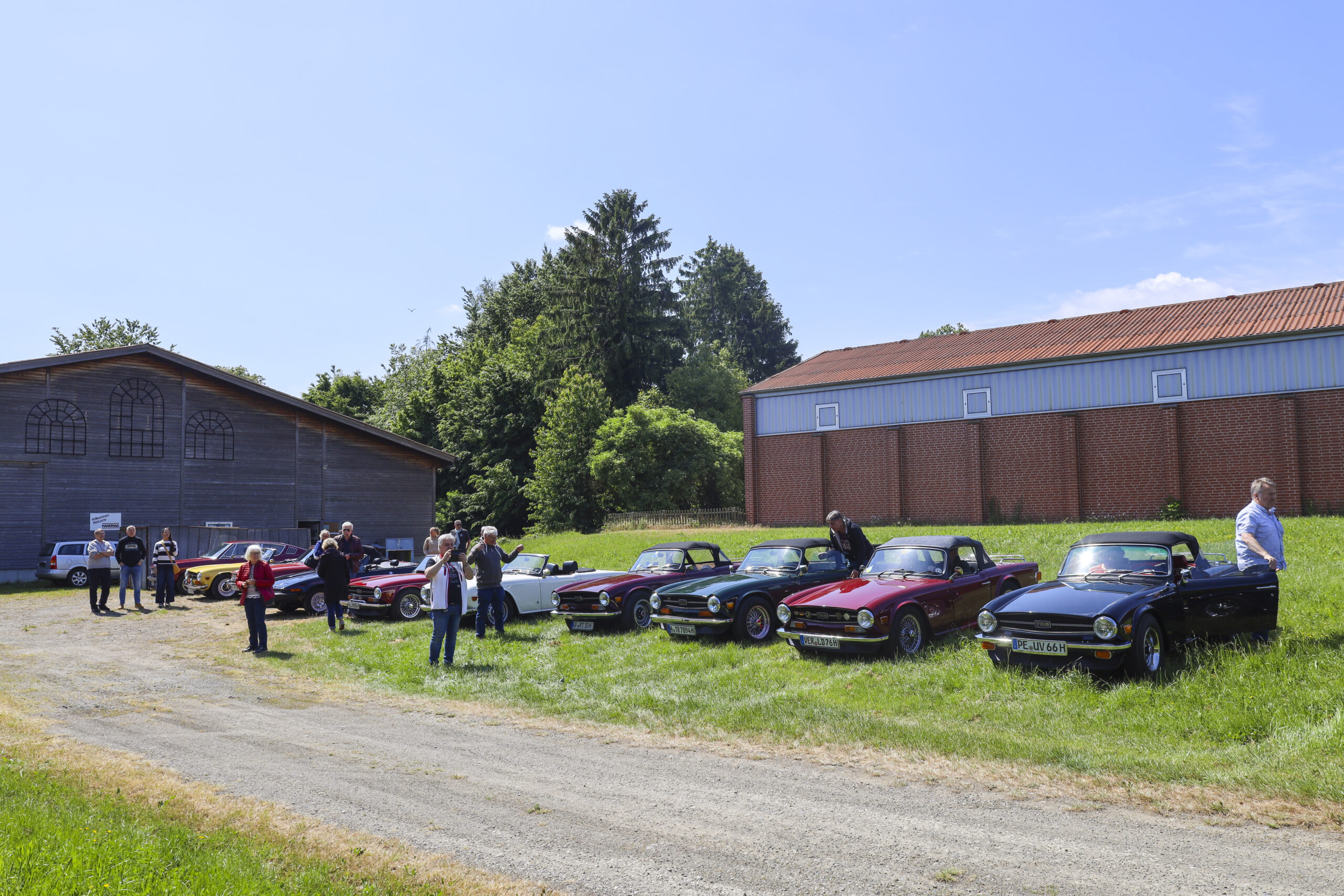 20250524_0505_www-ritterimages-com