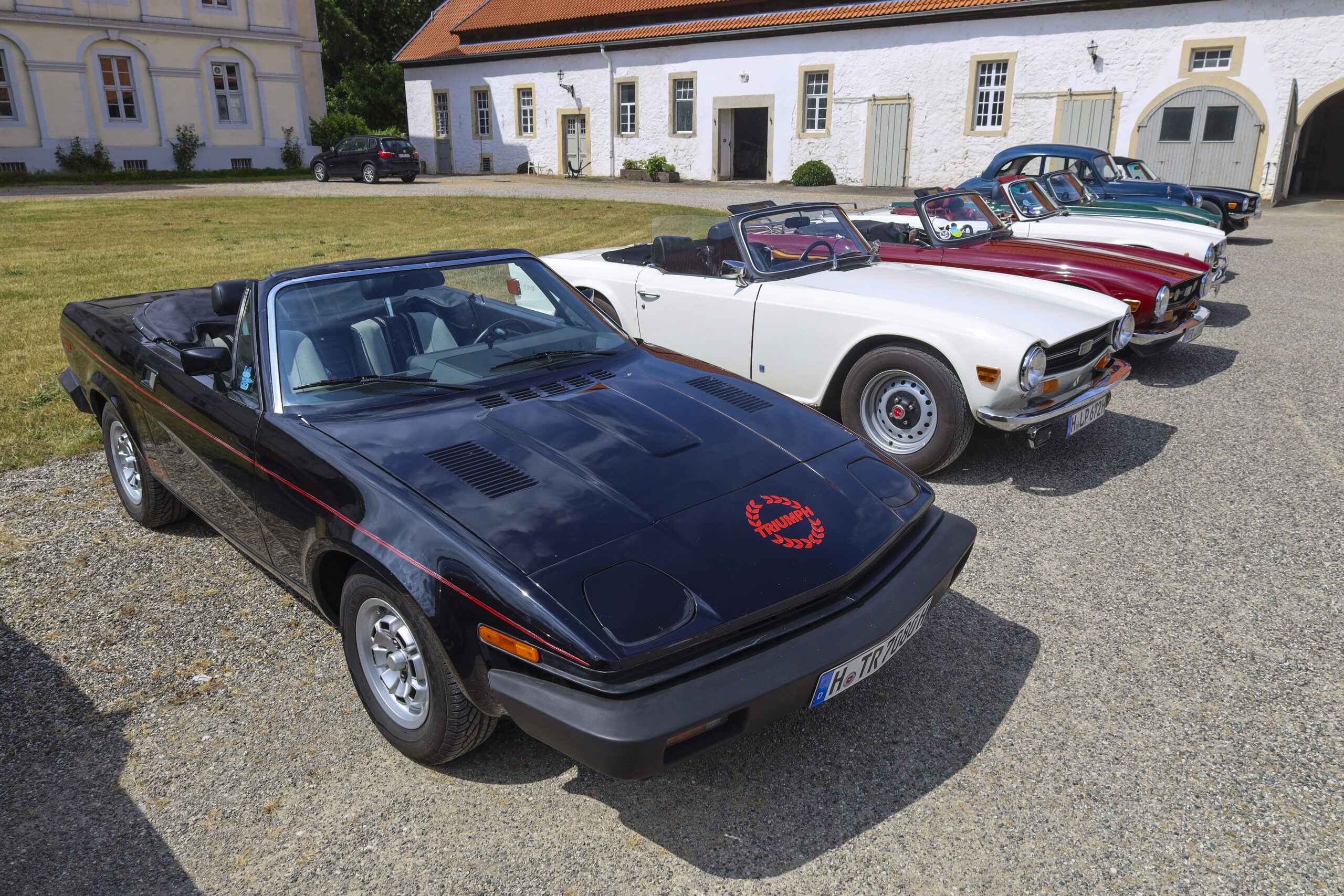 20250524_0731_www-ritterimages-com