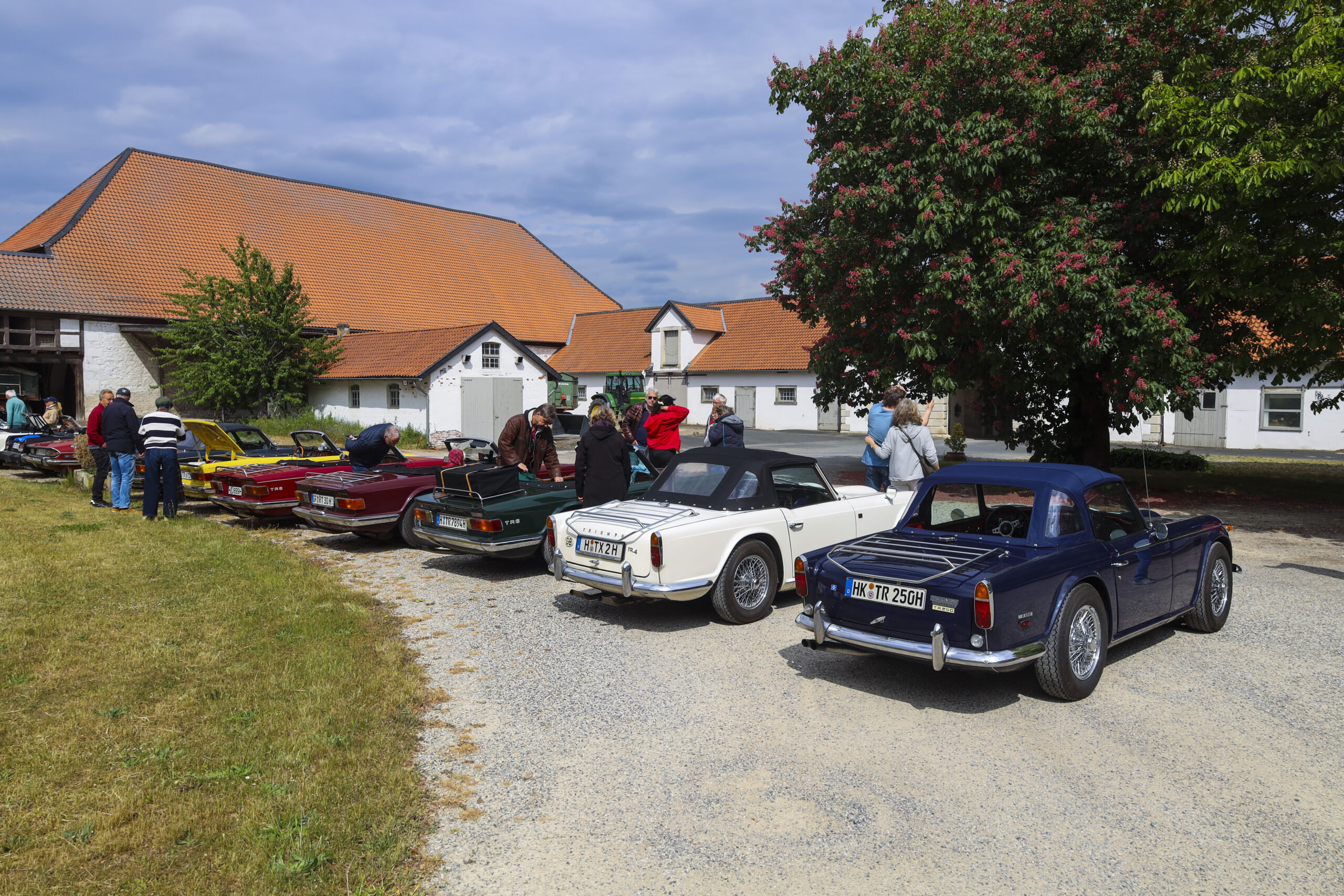 20250524_0751_www-ritterimages-com