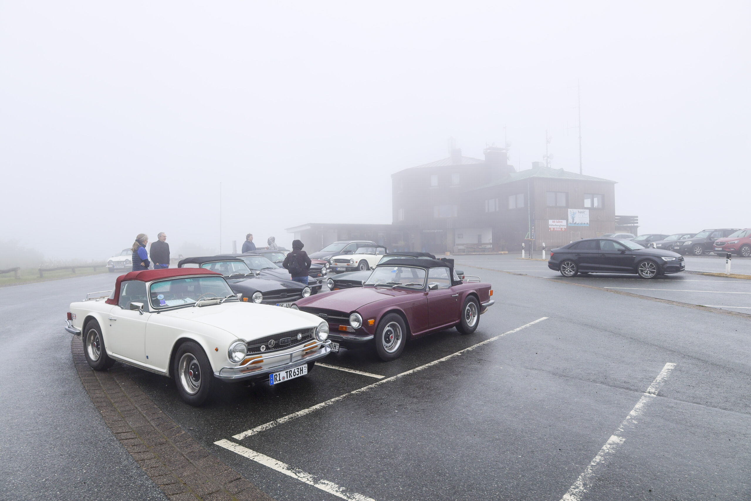 20250525_0753_www-ritterimages-com