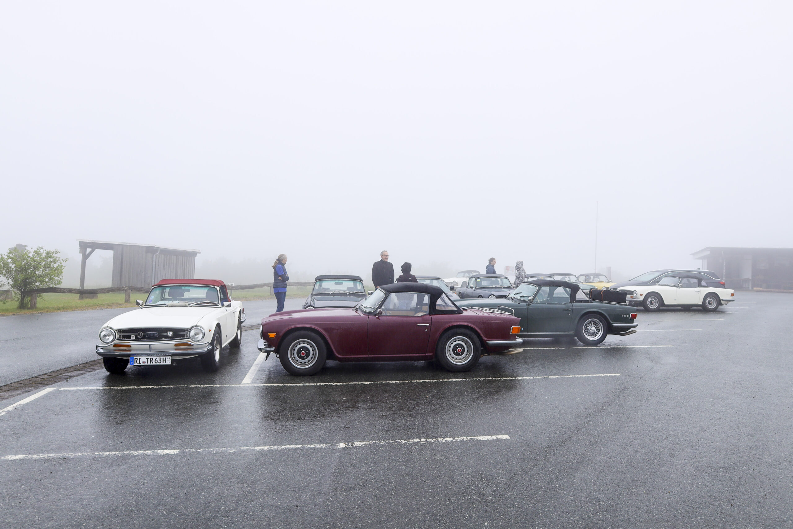 20250525_0754_www-ritterimages-com