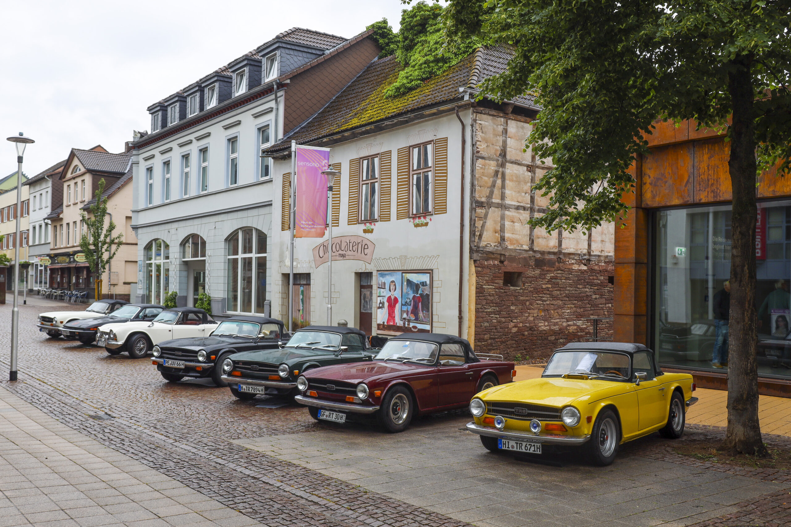 20250525_0772_www-ritterimages-com