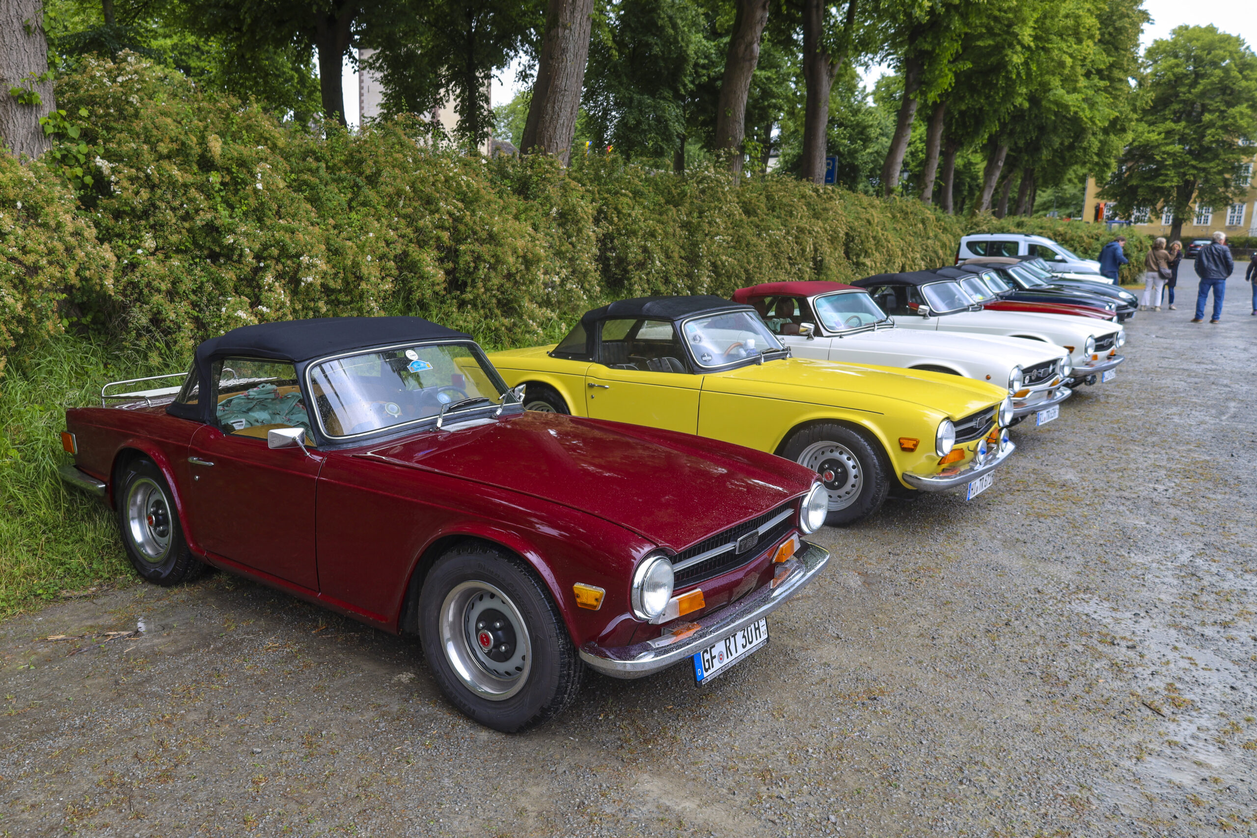 20250525_0784_www-ritterimages-com