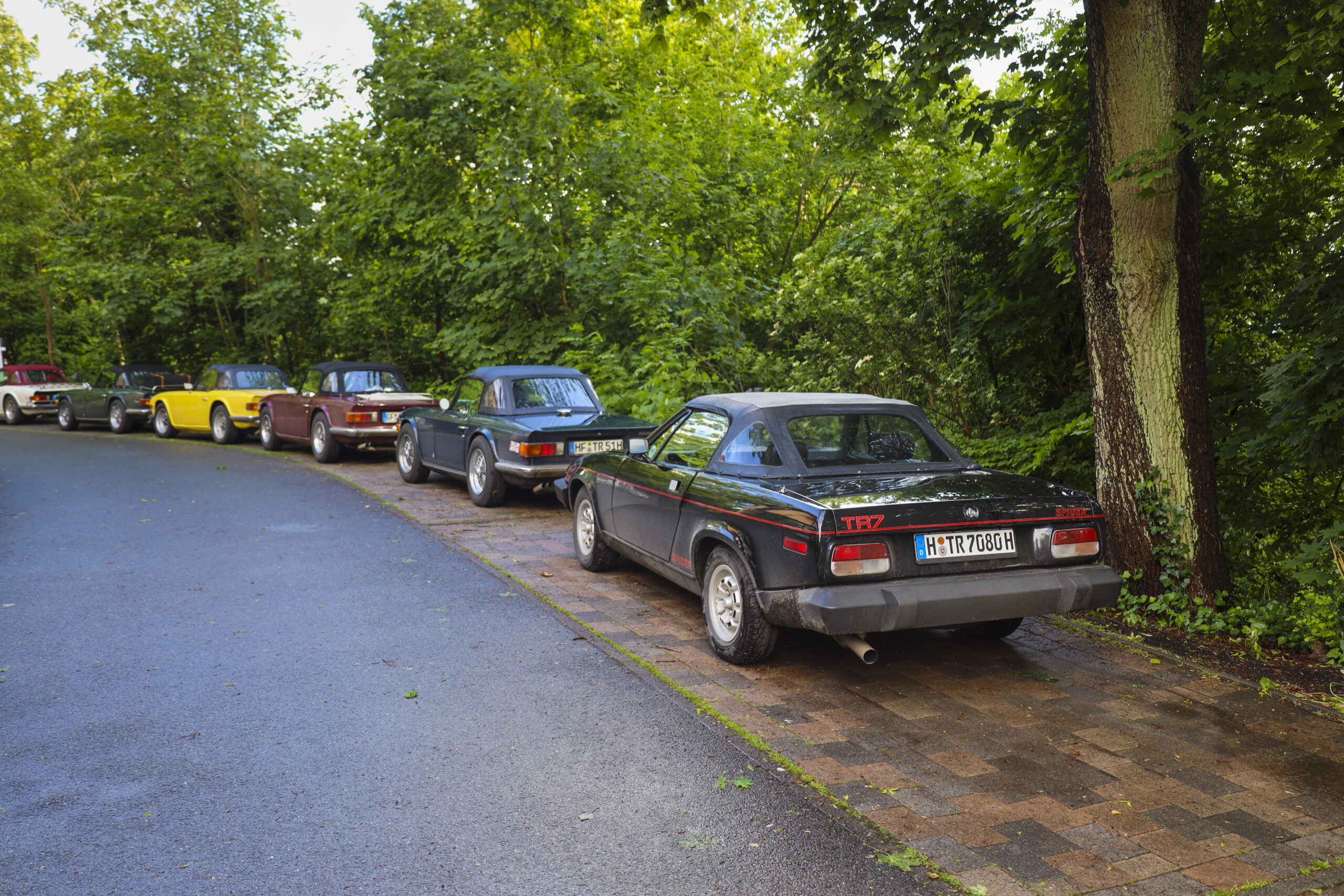 20250525_0798_www-ritterimages-com