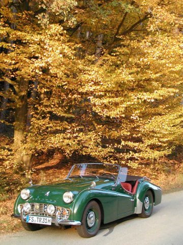 Bilder_Muenchen_Nov20080005