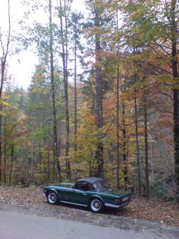 Bilder_Muenchen_Nov20080010