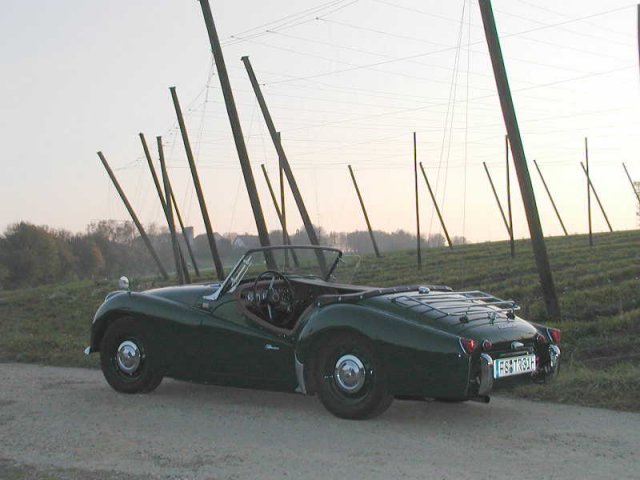 Bilder_Muenchen_Nov20080037